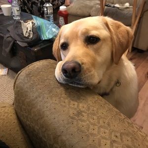 Meet your Posher, Meaghan